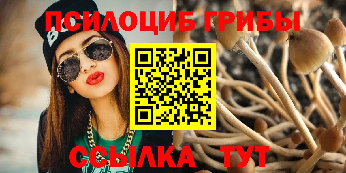 Галлюциногенные грибы GOLDEN TEACHER Новочеркасск