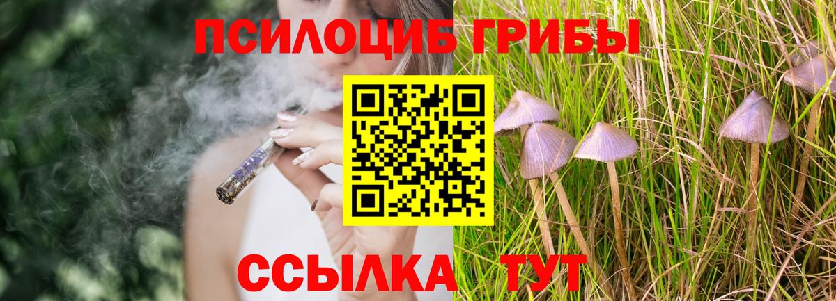 Галлюциногенные грибы мухоморы  Псилоцибиновые грибы мухоморы  наркота  Новочеркасск  Вход с VPN 
